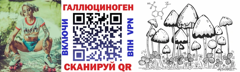 Купить Сосновый Бор Галлюциногенные грибы Cubensis