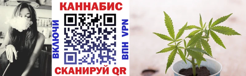 Бошки Шишки сатива  Купить закладки  Сосновый Бор 